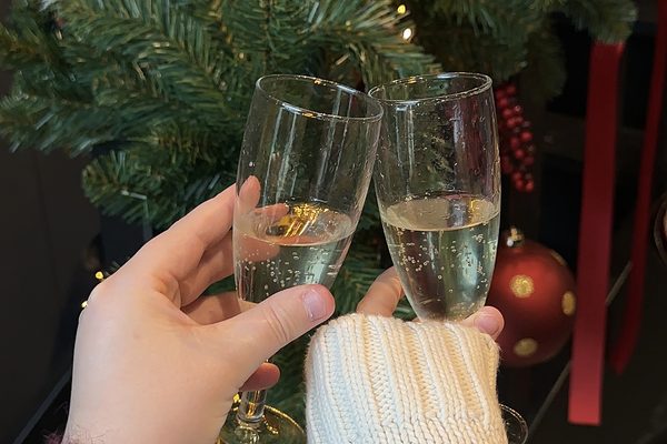 The Christmas toast, in front of the tree.