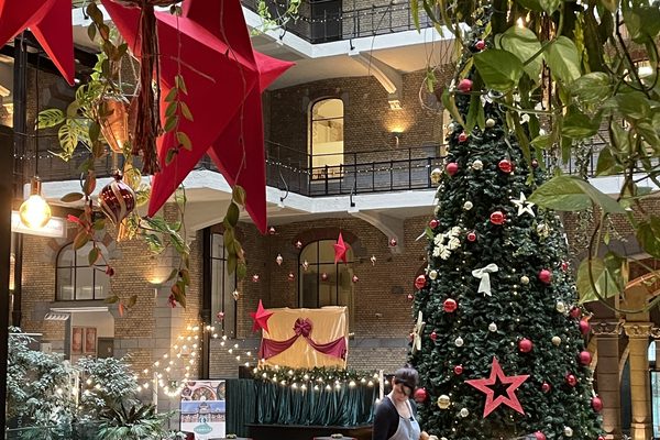 The Christmas tree and stars in the Entrepôt Royal gallery.